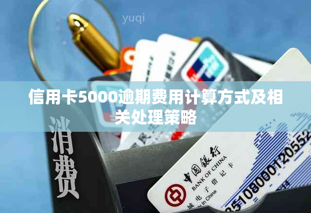 信用卡5000逾期费用计算方式及相关处理策略