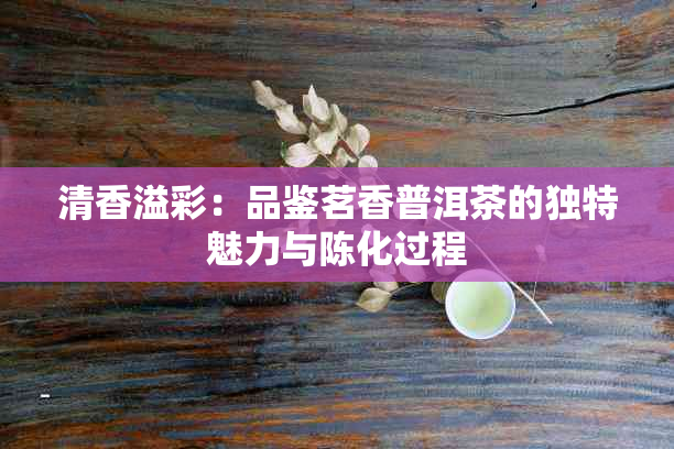 清香溢彩：品鉴茗香普洱茶的独特魅力与陈化过程