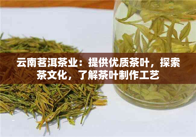 云南茗洱茶业：提供优质茶叶，探索茶文化，了解茶叶制作工艺