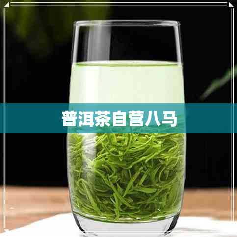 普洱茶自营八马