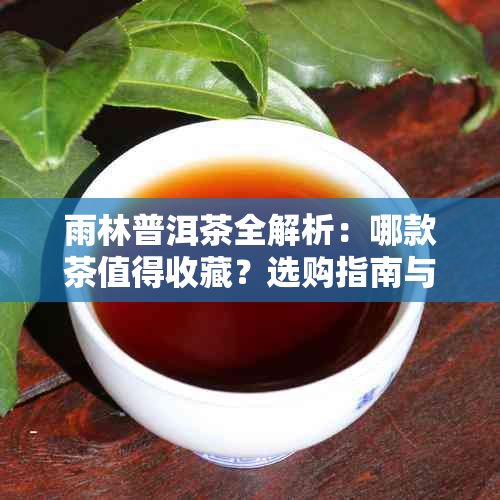 雨林普洱茶全解析：哪款茶值得收藏？选购指南与品鉴技巧一应俱全！