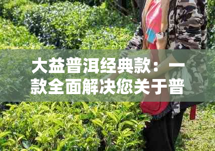 大益普洱经典款：一款全面解决您关于普洱茶的所有疑问的产品