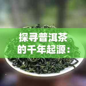 探寻普洱茶的千年起源：从古树到现代工艺的深度解读