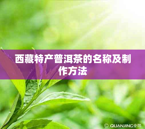  *** 特产普洱茶的名称及制作方法