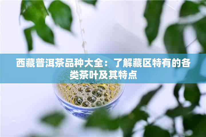  *** 普洱茶品种大全：了解藏区特有的各类茶叶及其特点