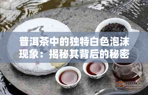 普洱茶中的独特白色泡沫现象：揭秘其背后的秘密