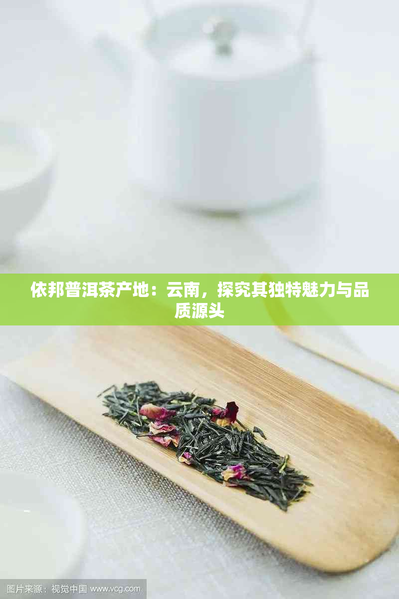 依邦普洱茶产地：云南，探究其独特魅力与品质源头