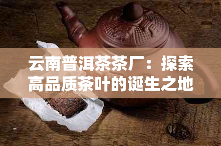 云南普洱茶茶厂：探索高品质茶叶的诞生之地与完整制茶流程