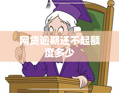 网贷逾期还不起额度多少