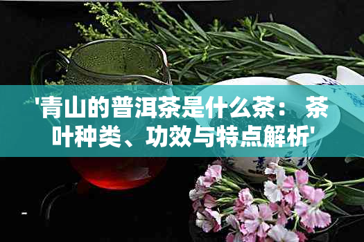 '青山的普洱茶是什么茶： 茶叶种类、功效与特点解析'