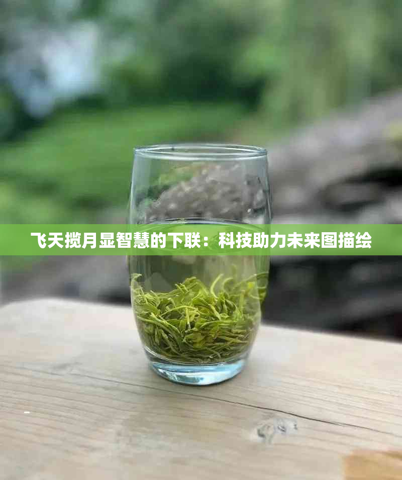 飞天揽月显智慧的下联：科技助力未来图描绘