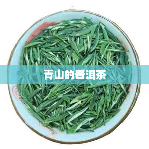 青山的普洱茶