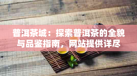 普洱茶城：探索普洱茶的全貌与品鉴指南，网站提供详尽资讯和实用建议