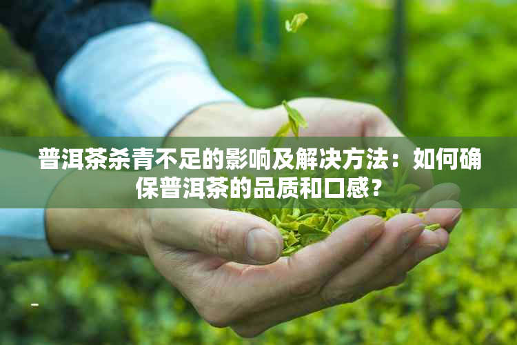 普洱茶杀青不足的影响及解决方法：如何确保普洱茶的品质和口感？