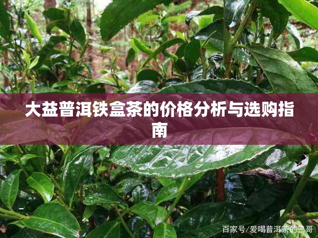 大益普洱铁盒茶的价格分析与选购指南