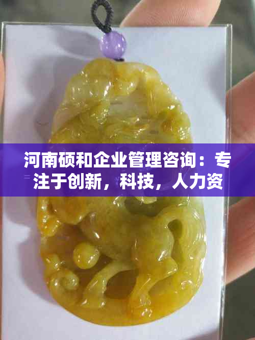 河南硕和企业管理咨询：专注于创新，科技，人力资源解决方案