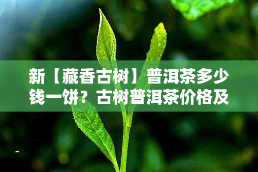 新【藏香古树】普洱茶多少钱一饼？古树普洱茶价格及选购指南