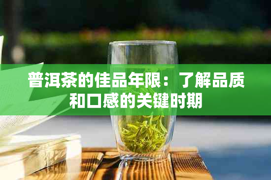 普洱茶的佳品年限：了解品质和口感的关键时期