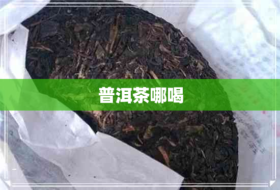 普洱茶哪喝