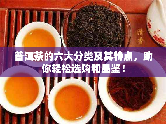 普洱茶的六大分类及其特点，助你轻松选购和品鉴！