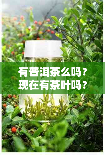 有普洱茶么吗？现在有茶叶吗？普洱茶与云南对比