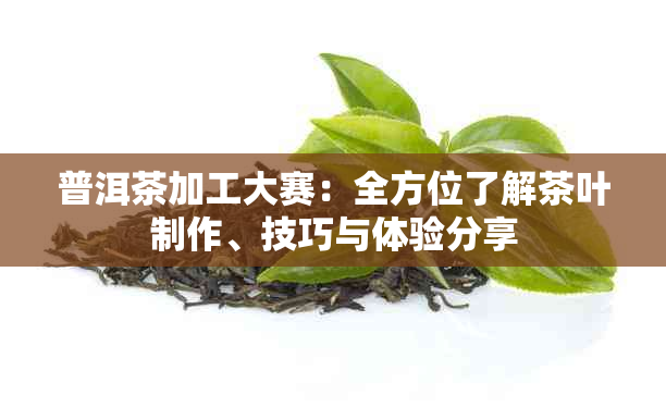 普洱茶加工大赛：全方位了解茶叶制作、技巧与体验分享