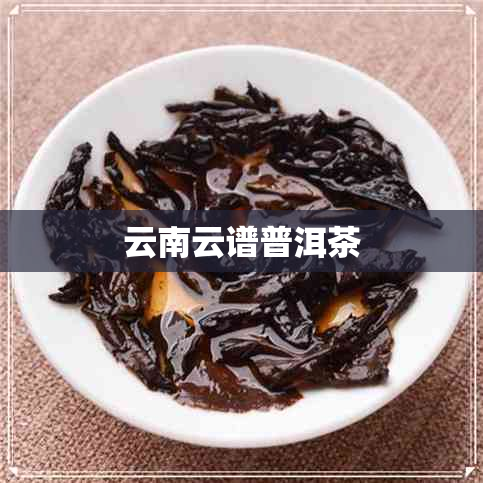 云南云谱普洱茶