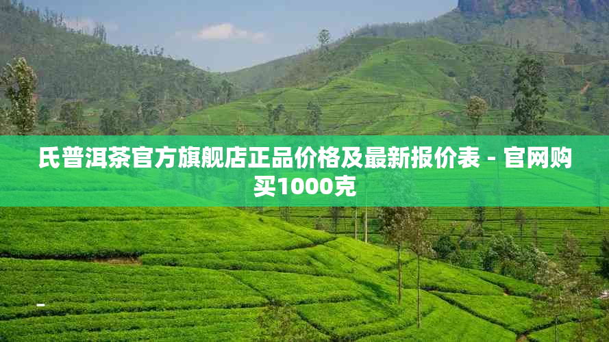 氏普洱茶官方旗舰店正品价格及最新报价表 - 官网购买1000克