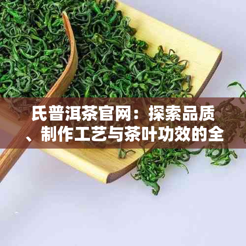 氏普洱茶官网：探索品质、制作工艺与茶叶功效的全方位指南