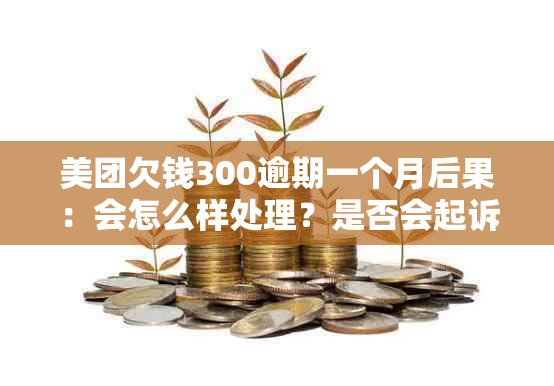 美团欠钱300逾期一个月后果：会怎么样处理？是否会起诉？