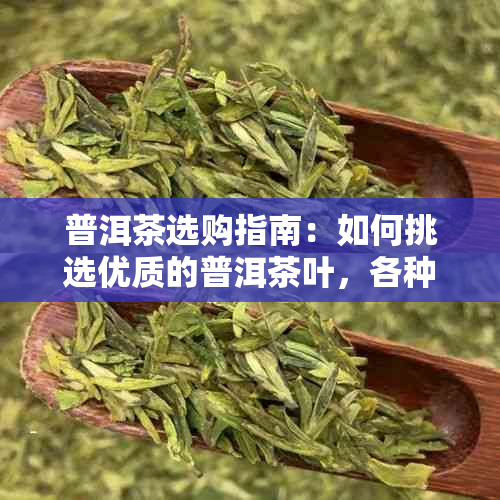 普洱茶选购指南：如何挑选优质的普洱茶叶，各种原料的特点与适用场景