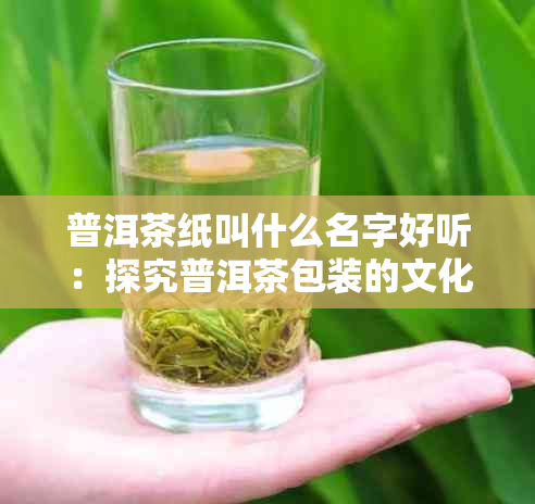 普洱茶纸叫什么名字好听：探究普洱茶包装的文化与美感