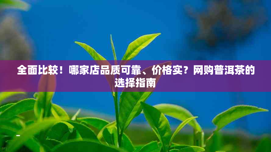 全面比较！哪家店品质可靠、价格实？网购普洱茶的选择指南