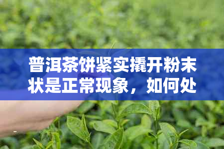 普洱茶饼紧实撬开粉末状是正常现象，如何处理？