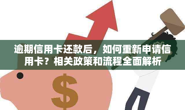 逾期信用卡还款后，如何重新申请信用卡？相关政策和流程全面解析