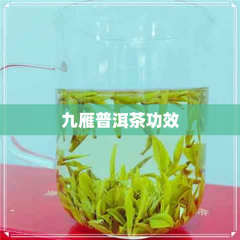 九雁普洱茶功效