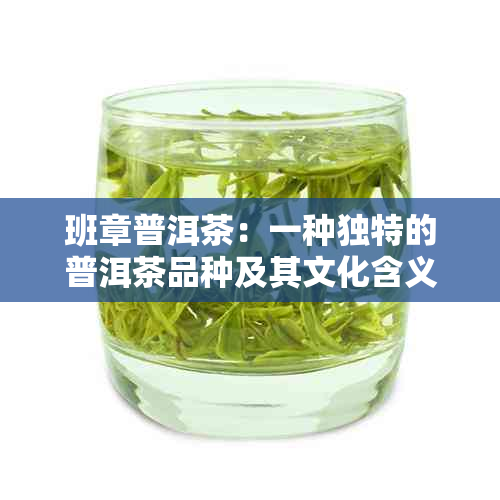 班章普洱茶：一种独特的普洱茶品种及其文化含义