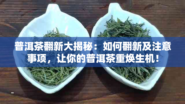 普洱茶翻新大揭秘：如何翻新及注意事项，让你的普洱茶重焕生机！