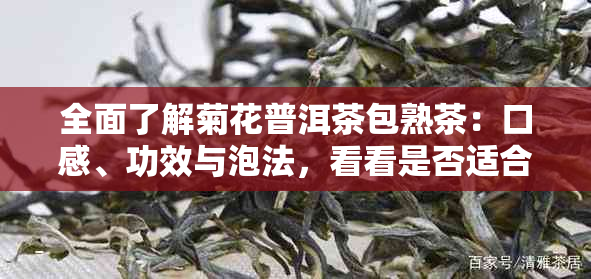 全面了解菊花普洱茶包熟茶：口感、功效与泡法，看看是否适合你的口味