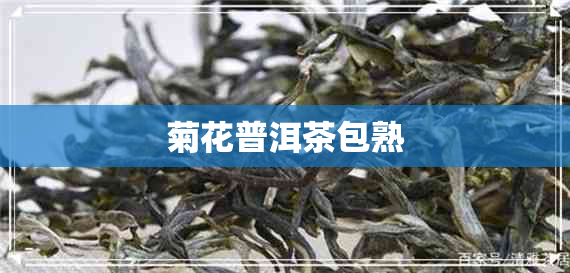 菊花普洱茶包熟