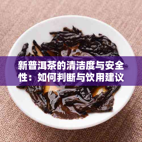 新普洱茶的清洁度与安全性：如何判断与饮用建议