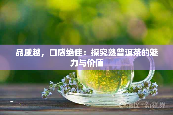 品质越，口感绝佳：探究熟普洱茶的魅力与价值