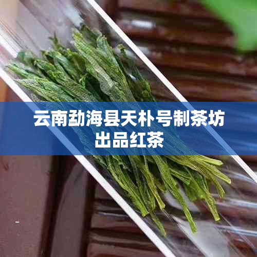 云南勐海县天朴号制茶坊出品红茶