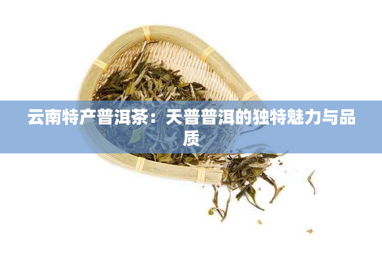 云南特产普洱茶：天普普洱的独特魅力与品质