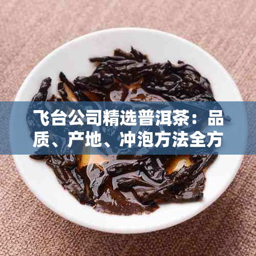 飞台公司精选普洱茶：品质、产地、冲泡方法全方位解析与推荐