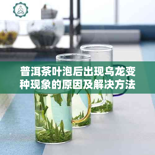 普洱茶叶泡后出现乌龙变种现象的原因及解决方法