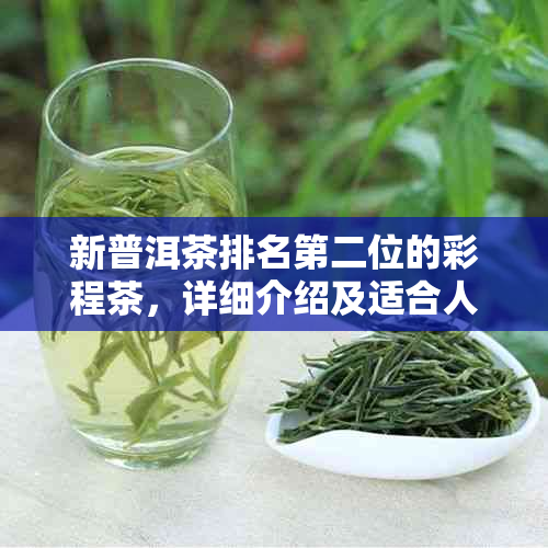 新普洱茶排名第二位的彩程茶，详细介绍及适合人群分析