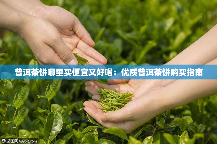 普洱茶饼哪里买便宜又好喝：优质普洱茶饼购买指南