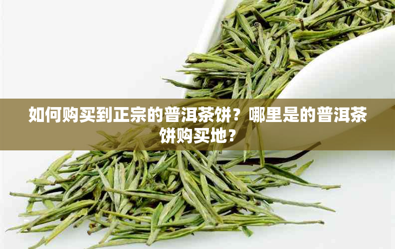 如何购买到正宗的普洱茶饼？哪里是的普洱茶饼购买地？