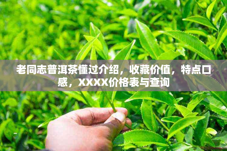 老同志普洱茶懂过介绍，收藏价值，特点口感，XXXX价格表与查询